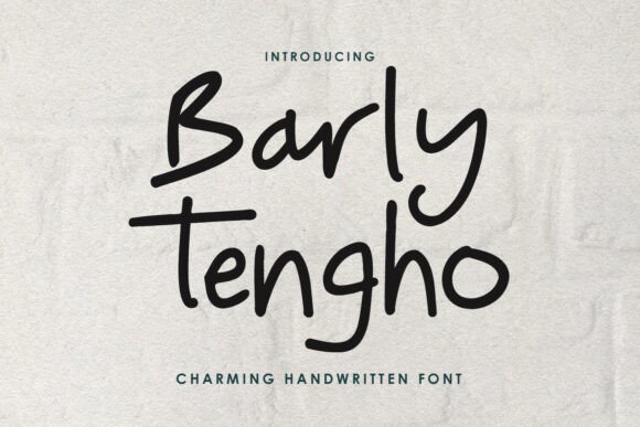 Barly Tengho: A Handwritten Font for Bold Campaigns