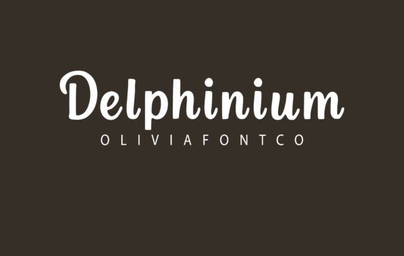 Delphinium Font: A Web Designer’s Review