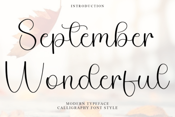 September Wonderful: A Designer’s Honest Review
